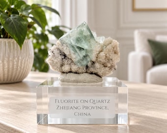 Könnte beinhalten: Ein Mineralexemplar mit einem durchscheinenden, hellgrünen Fluoritkristallcluster auf einer texturierten, cremeweißen Quarzmatrix. Das Exemplar ist auf einem klaren, rechteckigen Acrylsockel mit dem Etikett Fluorite on Quartz Zhejiang Province, China montiert.