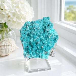 Teal Hemimorphite Crystal Cluster on Matrix, Vivid Botryoidal Mineral Specimen with Acrylic Stand, 3.5 Inch, 13.3 oz