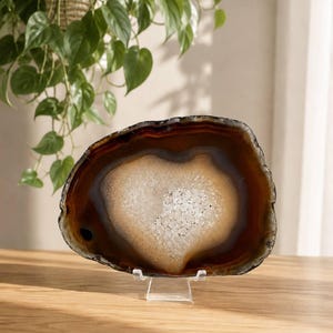 May include: A polished agate slice featuring concentric bands of deep brown and amber tones surrounding a central cluster of sparkling, translucent white quartz crystals, displayed upright on a clear acrylic stand.