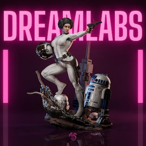 Princess Leia Rebel Leader Inspired Star Wars | 3D Model STL File
