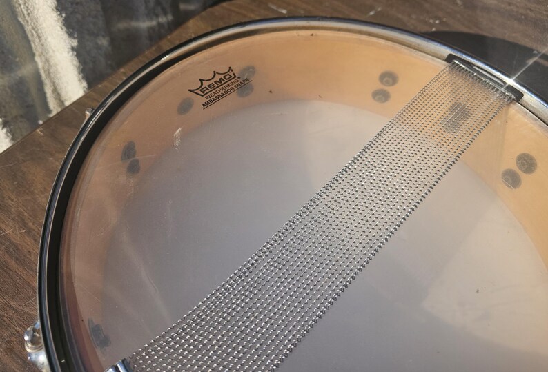 May include: Close-up of a snare drum. The drumhead is transparent with a silver snare wire stretched across the bottom. The drum's rim is black, and the shell is a light brown color. The Remo logo is visible on the drumhead.