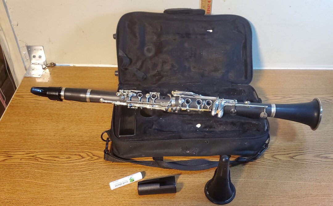 Mendini Cecilio Student W/ Case. Free Shipping Etsy