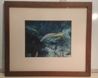 1970s framed underwater photo of tropical fish 17" x 14-1/2"