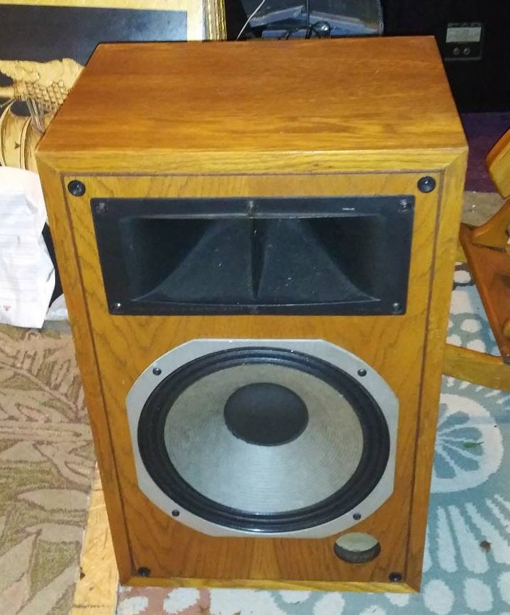 Peavey criterion store speakers
