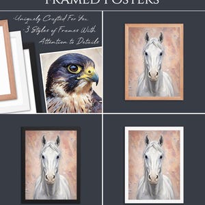 Op de afbeelding: Ingelijste posters met een portret van een valk en een wit paard. De tekst luidt FRAMED POSTERS, Uniquely Crafted For You, 3 Styles of Frames With Attention to Details. Drie kleuren lijsten zijn zichtbaar: licht hout, wit en zwart.