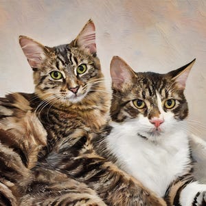 Schilderij op maat van een kat, in opdracht gemaakt. Kunst op canvas, olieverfschilderij van een huisdier, digitaal portret van een foto, ingelijst kunstwerk voor aan de muur in olieverfstijl.