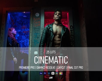 25+ Cinematic LUTs Pack | Mini Video Color Grading Bundle (Digital Download)