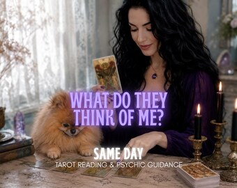What Do They Think of Me Tarot Reading | Feelings, Perception, Attraction & Intentions Insight