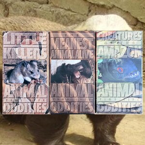 May include: Three boxed sets of "Animal Oddities" books. The covers feature images of animals with titles like "Little Killers," "The Meanest Animal Alive," and "Creatures of the Amazon." The background is a neutral tan color.