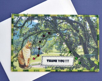 Cat Thank You Card