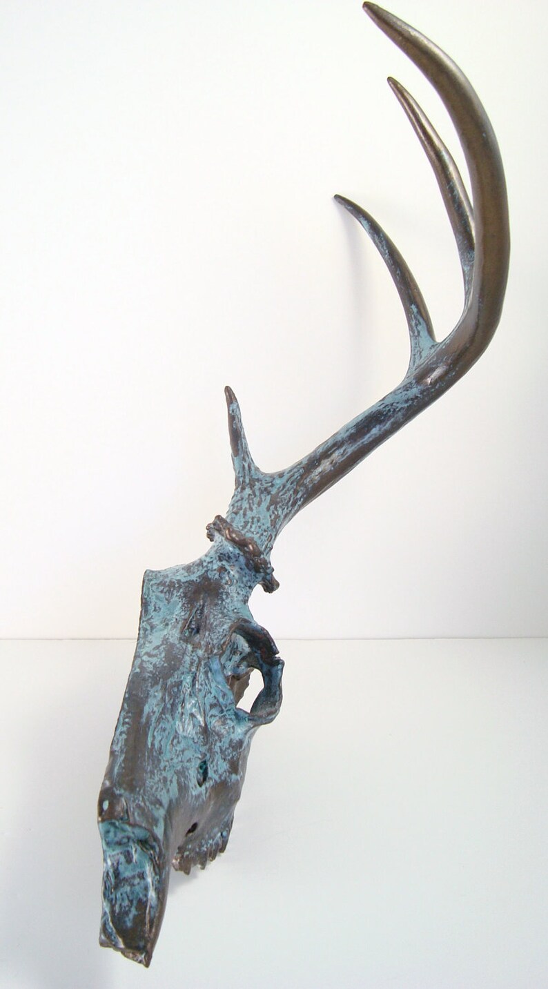 Deer Skull Taxidermy Bronze Aged Natural Turquoise Patina Art Etsy