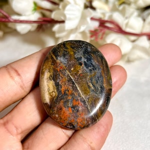 May include: An oval-shaped polished stone featuring a complex pattern of deep brown, black, and golden-yellow swirls with distinct patches of vibrant orange and white mineral inclusions throughout the smooth, reflective surface of the gemstone.