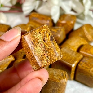 May include: A polished, rectangular-shaped stone bead featuring a complex, swirling pattern of golden-brown, tan, and dark brown hues. The surface displays intricate, fossilised-like textures with a glossy finish, held up against a blurred background.