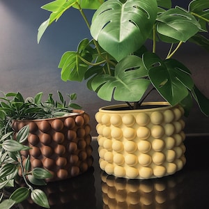 May include: Two cylindrical plant pots featuring a textured surface of raised, uniform spheres. One pot is a deep matte brown, while the other is a soft, pale yellow. Each pot contains a green plant with distinct, broad, split leaves.