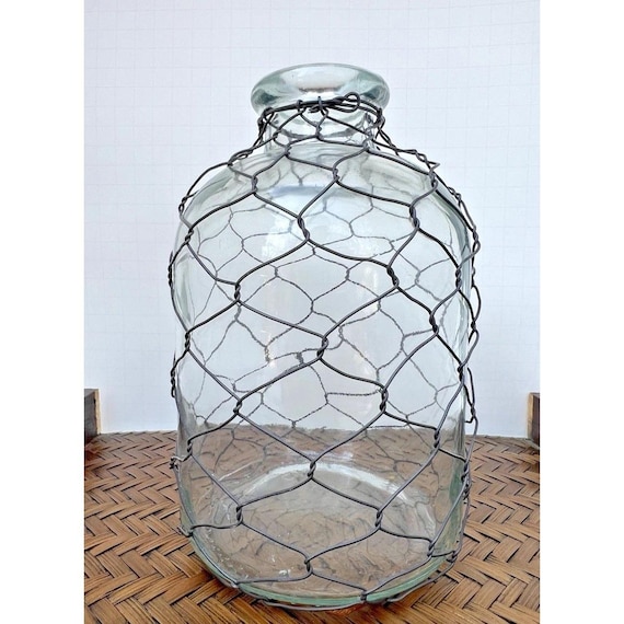 Rustic Glass Jug Vase w/ Chicken Wire Farmhouse Cottage Decor Apothecary Style
