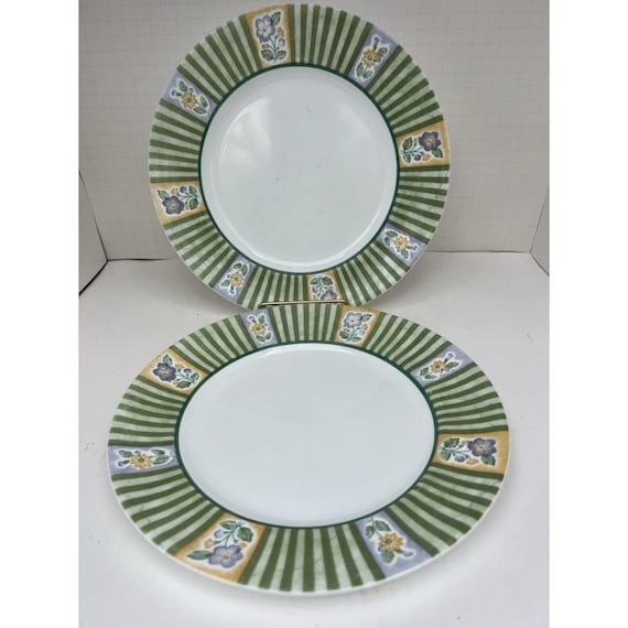 Set of 2 Corelle Classical Garden Dinner Plates – 10 3/4"