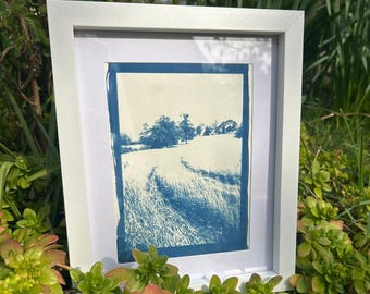 Cyanotype Meadow Print – Handmade Blue Wall Art – Nature Landscape – Framed or Unframed – UK Artist