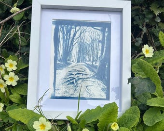 Cyanotype Pathway Print – Handmade Blue Wall Art – Nature Landscape – Framed or Unframed – UK Artist