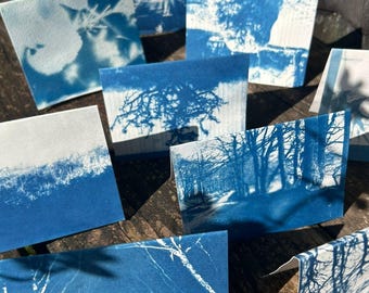 Handmade Cyanotype Art Card – Nature Inspired Blue Print