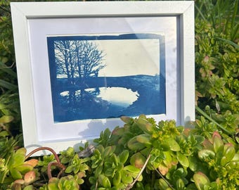 Cyanotype Tree Reflection Print – Blue Landscape Wall Art – UK Artist