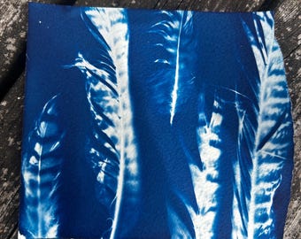 Cyanotype Feathers Print – Handmade Blue Wall Art – Nature Landscape – Unframed – UK Artist