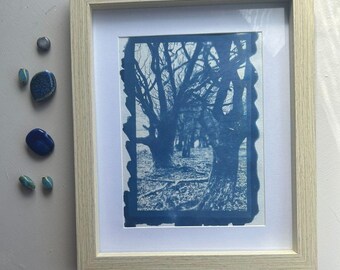 Cyanotype Trees Print – Handmade Blue Wall Art – Nature Landscape – Framed or Unframed – UK Artist