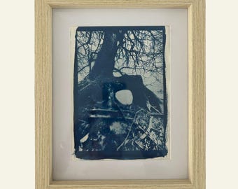 Cyanotype Tree Roots Print – Handmade Blue Nature Wall Art – UK Artist Landscape
