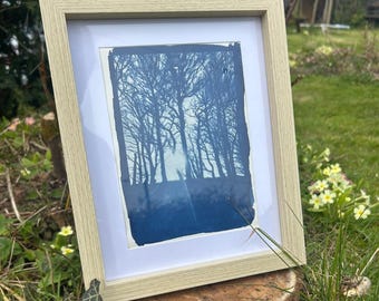 Cyanotype Trees Print – Handmade Blue Wall Art – Nature Landscape – Framed or Unframed – UK Artist