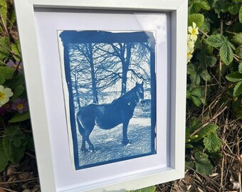 Cyanotype Pony Print – Handmade Blue Wall Art – Nature Landscape – Framed or Unframed – UK Artist