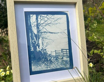 Cyanotype Gateway Print – Handmade Blue Wall Art – Nature Landscape – Framed or Unframed – UK Artist