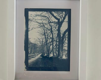 Cyanotype Trees Path Print – Handmade Blue Nature Landscape Wall Art