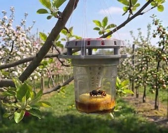 Piège à frelon asiatique - Écologique & réutilisable | Protection des abeilles