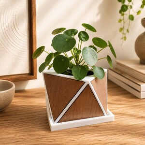 Może przedstawiać: Roślina Pilea peperomioides z okrągłymi zielonymi liśćmi znajduje się w geometrycznej doniczce. Doniczka posiada białą ramę z trójkątnymi panelami w kolorze drewna oraz pasującą białą kwadratową podstawkę, tworząc nowoczesny wygląd.
