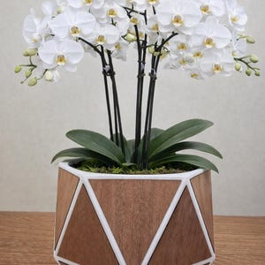 Peut inclure: Un orchidée blanche avec des centres jaunes dans un pot géométrique en bois avec des accents blancs. Les feuilles sont vertes et les tiges sont noires. Le pot est sur une surface en bois.