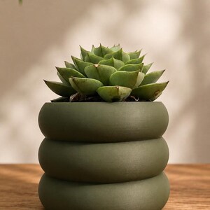 May include: A green succulent plant with pointed, layered leaves potted in a matte olive green ceramic planter. The planter features a distinct design composed of three stacked, rounded, horizontal rings that create a bulbous, cylindrical shape.