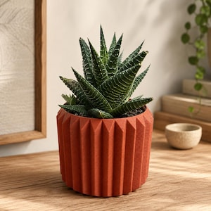 Peut inclure: Une plante succulente Haworthia aux feuilles pointues et striées vert foncé, plantée dans un pot cylindrique de couleur terre cuite présentant une texture verticale plissée ou nervurée sur toute la surface extérieure.