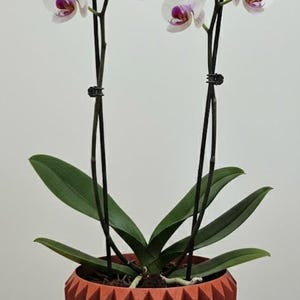 Cache pot d'intérieur - Nordik