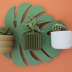 Peut inclure: Décoration murale avec trois petites plantes en pot. Les plantes sont présentées sur un grand support en feutre vert en forme de feuille. Les pots sont beiges, verts et blancs, avec des succulentes et des cactus.