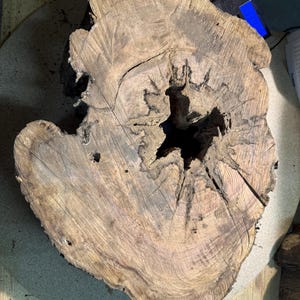 Op de afbeelding: Een dwarsdoorsnede van een boomstam, met de natuurlijke houtnerf en textuur. Het hout is een mix van licht- en donkerbruin, met een groot gat in het midden. De onregelmatige vorm en unieke patronen maken het een rustiek decoratief item.