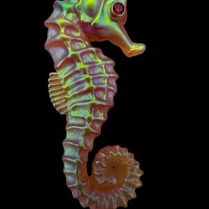 May include: A seahorse brooch featuring an iridescent finish with shifting green and orange hues. The body displays a textured, segmented surface and a curved tail. A small, round, dark red gemstone is set as the eye of the seahorse figure.