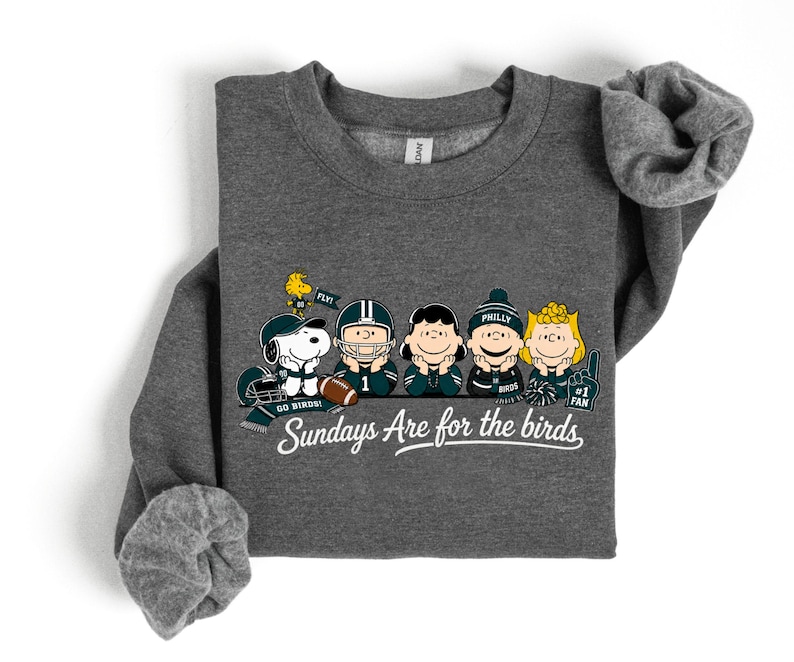 A gray sweatshirt with a graphic design featuring five cartoon characters from the Peanuts comic strip, including Snoopy, Woodstock, Birdie, Philemon, and Birdie, along with the text "Sunday's Are for the birds".