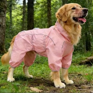 Può includere: Un cane Golden Retriever indossa un impermeabile rosa chiaro con cappuccio. Il cane è in una foresta con erba verde e alberi. L'impermeabile ha finiture argentate riflettenti.