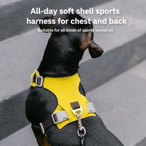 May include: A black dog wearing a yellow soft shell sports harness. The harness has brown straps and gray buckles. Text on the image reads "All-day soft shell sports harness for chest and back. Suitable for all kinds of sports scenarios."