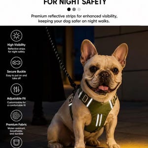 Può includere: Un bulldog francese con un'imbracatura verde con strisce riflettenti. L'imbracatura ha una fibbia sicura, vestibilità regolabile e un anello per guinzaglio anteriore. Il testo sull'immagine recita "Strisce riflettenti ad alta luminosità per la sicurezza notturna."
