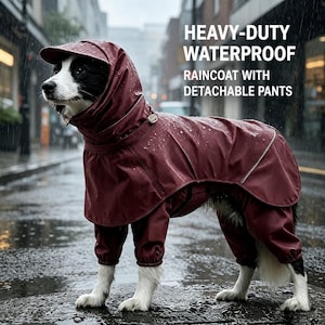 Può includere: Un cane indossa un impermeabile marrone scuro resistente all'acqua, dotato di cappuccio e pantaloni staccabili. Il capo presenta profili riflettenti ed è coperto di gocce di pioggia. Il testo recita: HEAVY-DUTY WATERPROOF RAINCOAT WITH DETACHABLE PANTS.