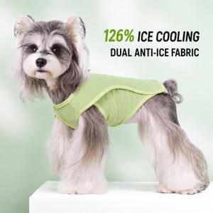 May include: A small dog wearing a light green cooling vest. The vest has a contrasting trim and the text "126% ICE COOLING, DUAL ANTI-ICE FABRIC" in green. The dog has gray and white fur and is standing on a white surface.