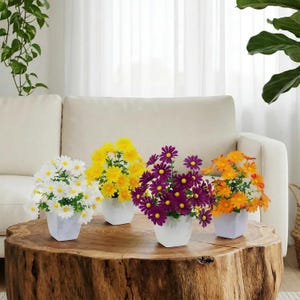 May include: Four small potted daisy arrangements in white, yellow, purple, and orange. The artificial flowers have yellow centers and are in white geometric pots. The arrangements sit on a wooden table in front of a cream-colored couch.