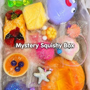 May include: A Mystery Squishy Box containing various soft, tactile toys including a green gummy bear, a strawberry-topped pastry, a purple creature with googly eyes, a blueberry tart, a pink shell, a starfish, and a large orange squishy.
