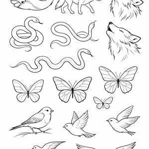 May include: Black and white line art illustrations of various animals and insects. The image includes a sleeping fox, a walking fox, snakes, butterflies, birds, and howling wolves. The illustrations are detailed and suitable for coloring or design.