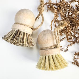 Eco Friendly Reusable Dish Brush with Natural Bristles
